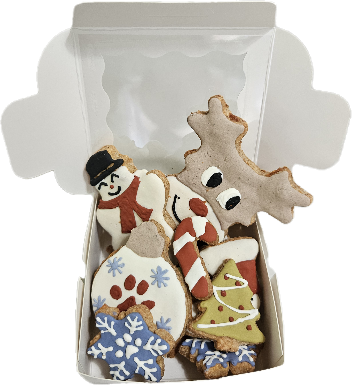 Christmas Gift Box