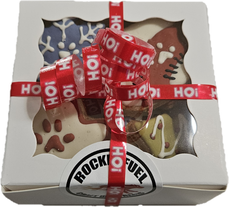 Christmas Gift Box