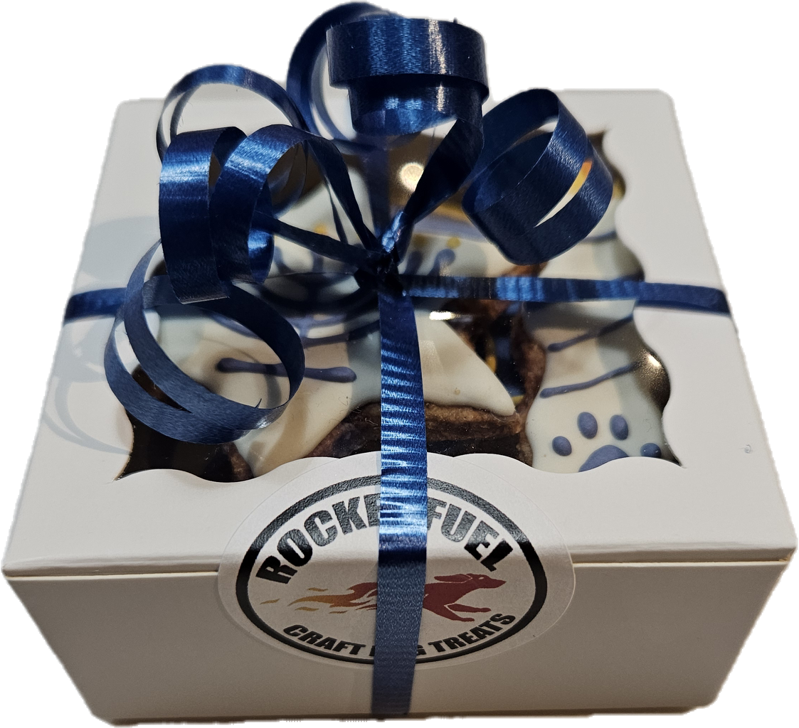 Hanukkah Gift Box